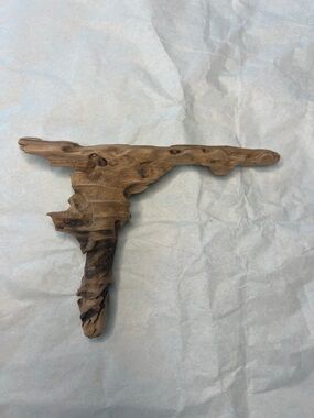 Natural Driftwood from Potomac River - Brown